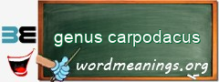 WordMeaning blackboard for genus carpodacus